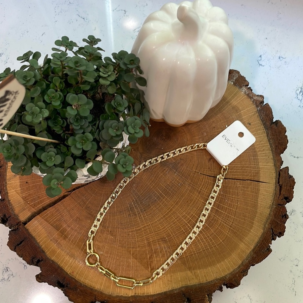 Evereve Waylon chain statement necklace